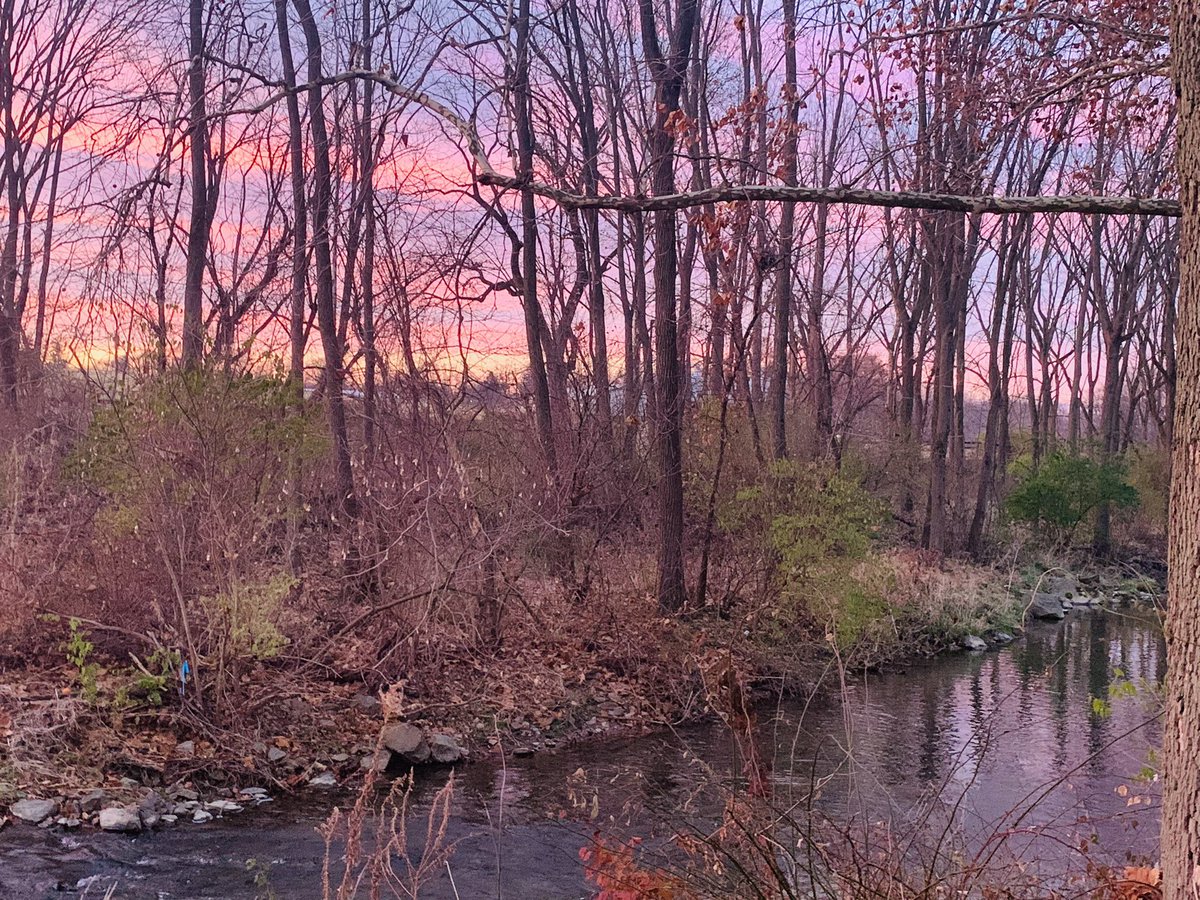 Just wanted to share my backyard & a gorgeous sunrise with all of you.😊

“Life is getting up an hour early to live an hour more.”  ~Unknown

OR to workout so your brain hasn’t figured out what your doing yet. 😜
#MyPeakChallenge  #MPC2021