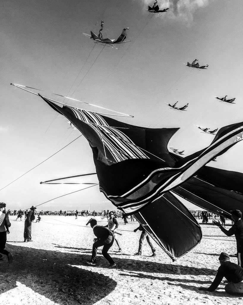 Tibalism's tweet photo. I grew up flying kites in Brazil, watched people flying kites in many parts of the world, but nothing can beat the Bali Kites Festival. It’s wild and unique! Collection available on Opensea. 🪁 https://t.co/MFz0G1kcoW
