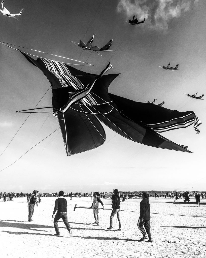 Tibalism's tweet photo. I grew up flying kites in Brazil, watched people flying kites in many parts of the world, but nothing can beat the Bali Kites Festival. It’s wild and unique! Collection available on Opensea. 🪁 https://t.co/MFz0G1kcoW