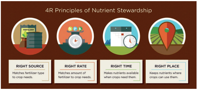 FertilizerNews's tweet photo. #DYK that combining mineral and organic fertilizers is the best method for increasing soil #CarbonSequestration on farmland? 🤔
Learn more about the environmental benefits of Integrated Plant Nutrient Management #IPNM with our paper 👉 https://t.co/eY7ZDoTdQ3 https://t.co/2DkRRnNAdo