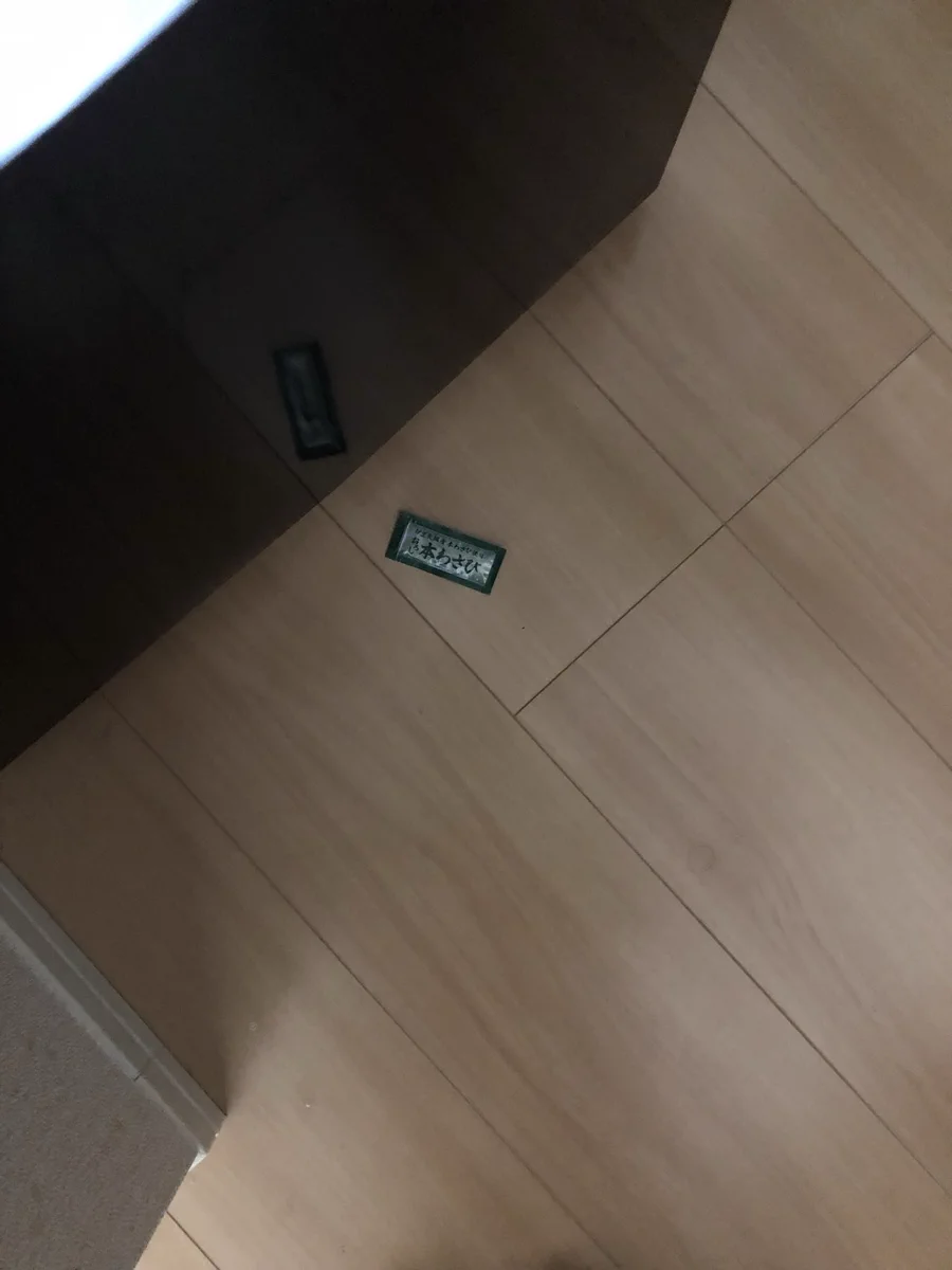 冷蔵庫の下にポケットモンスターエメラルドが！？ただのわさびだったwww