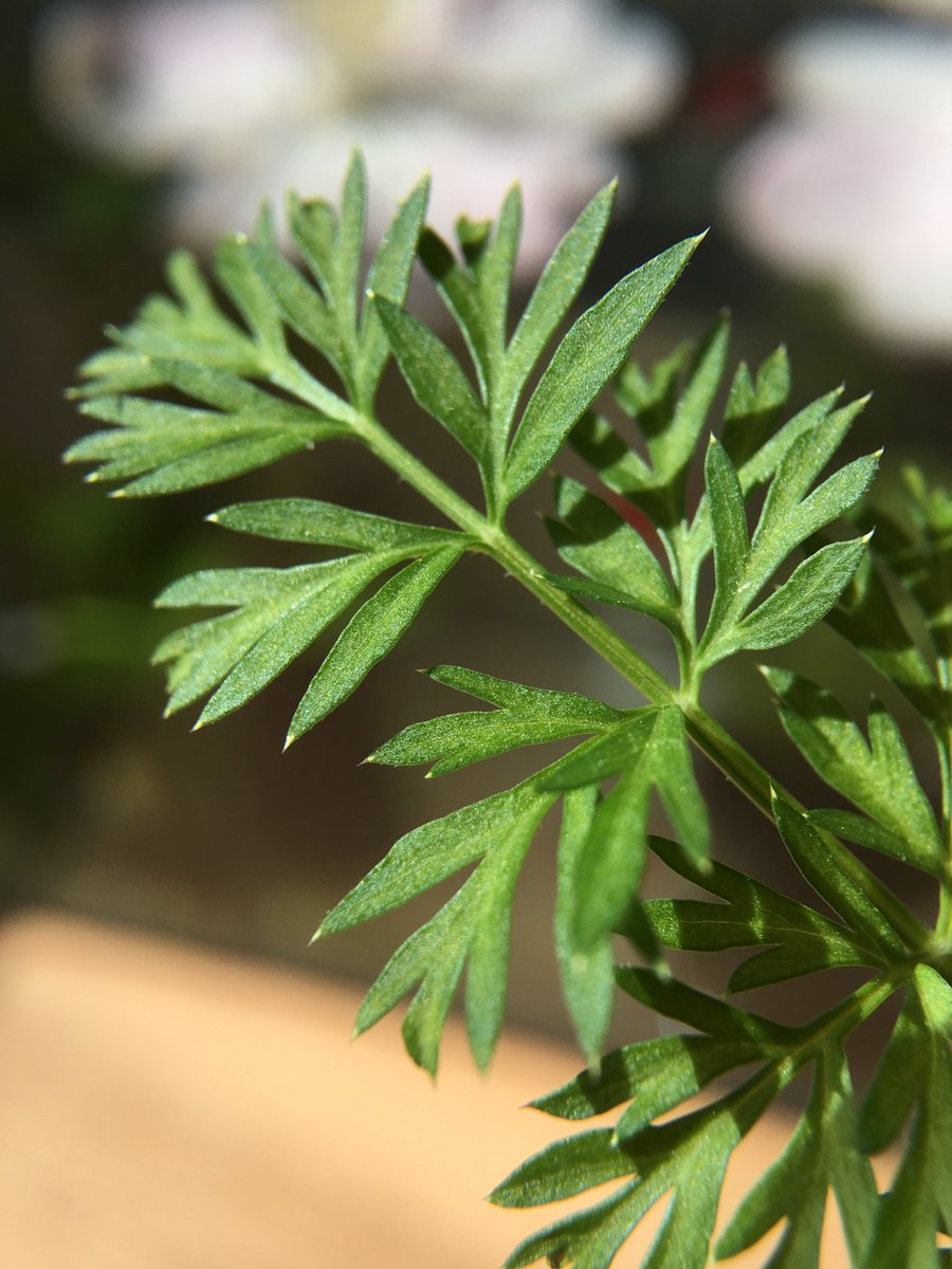 beixuna00 (Ø,G) (@beixuna0077) on Twitter photo 