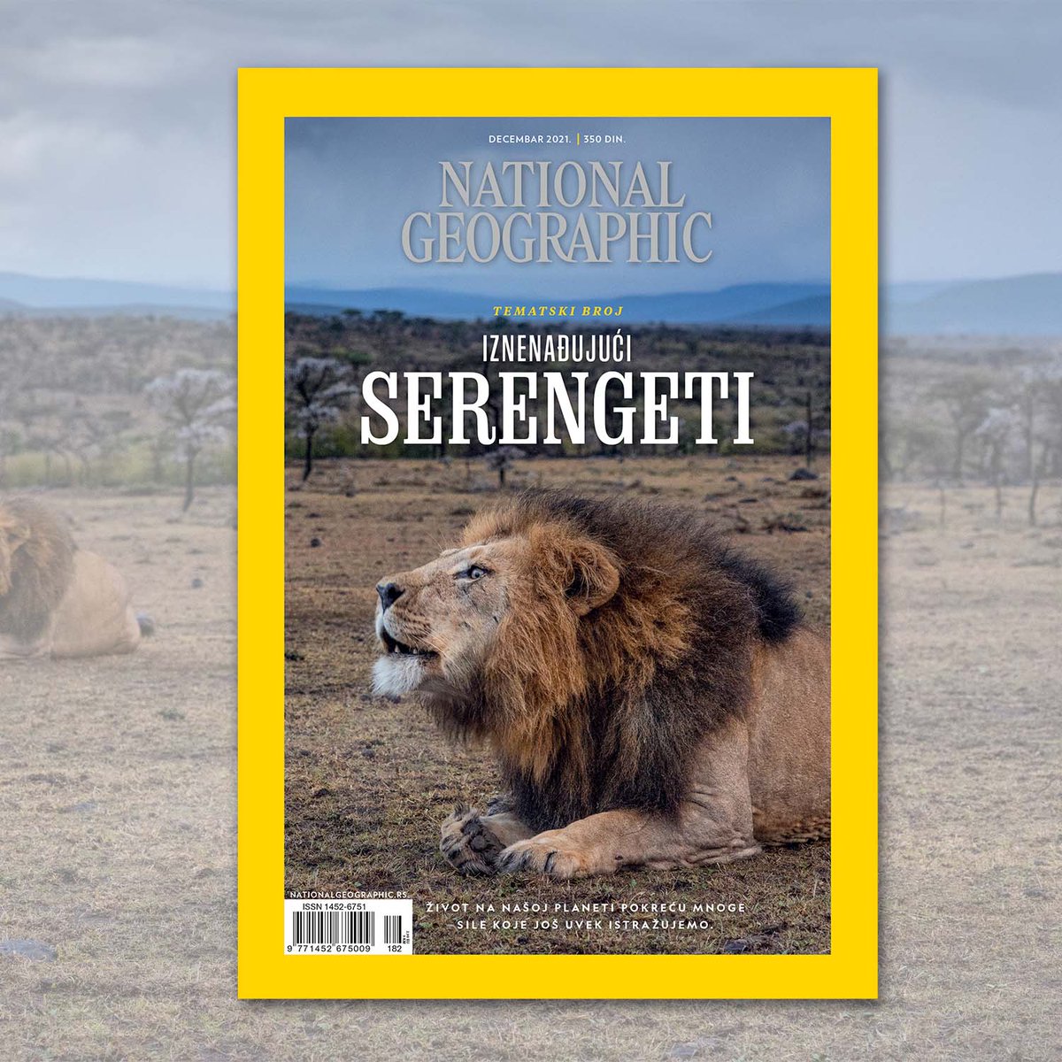 NGSrbija's tweet photo. Novi broj je u prodaji!

IZNENAĐUJUĆI SERENGETI
Život na našoj planeti pokreću mnoge sile koje još uvek istražujemo.

#nationalgeographicmagazine #natgeomagazinesrbija https://t.co/kG4iqIpp4c