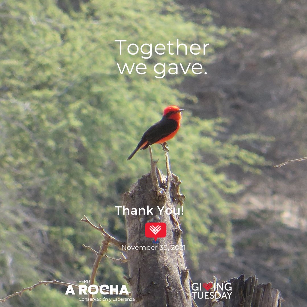 HUGE thank you to all our supporters who came together during <a href="/GlobalGiving/">GlobalGiving</a>’s #MoveAMillion campaign for #GivingTuesday to help us raise funds.