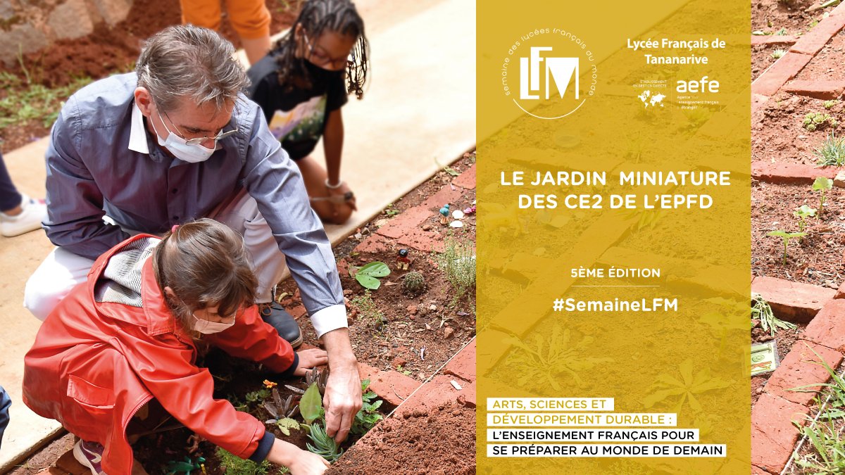 LFTananarive's tweet image. #SemaineLFM | 🌿 Les élèves de CE2 de l'#EPFd investissent de petites parcelles pour créer des jardins miniatures. Une activité réalisée à la fois sous l’angle scientifique mais aussi plastique. #SVT #botanique #ArtsPlastiques 

@aefeinfo @ambafrmada