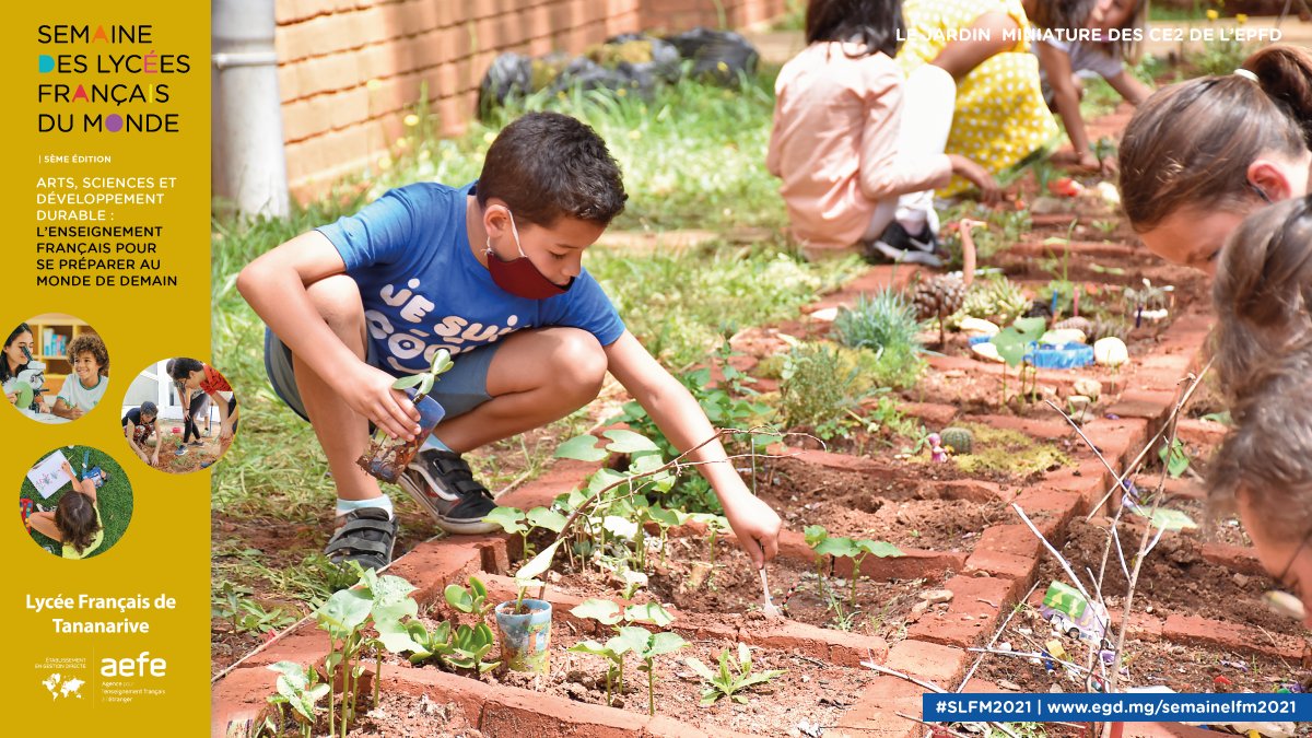 LFTananarive's tweet image. #SemaineLFM | 🌿 Les élèves de CE2 de l'#EPFd investissent de petites parcelles pour créer des jardins miniatures. Une activité réalisée à la fois sous l’angle scientifique mais aussi plastique. #SVT #botanique #ArtsPlastiques 

@aefeinfo @ambafrmada
