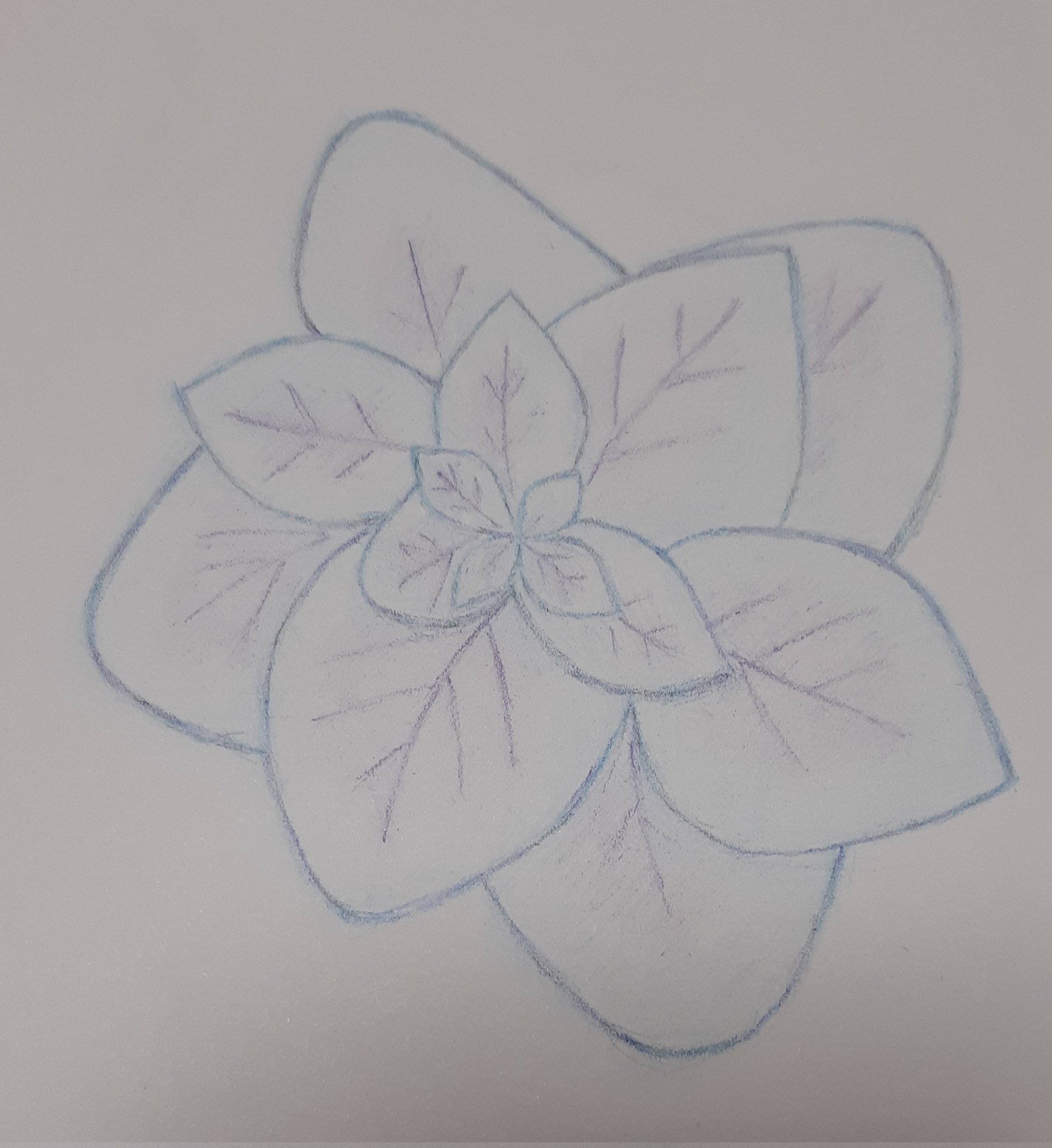 Twitter 上的 Fimi 絵 花絵 練習 イラスト イラスト好きさんと繋がりたい T Co Cpmvxedxwt Twitter