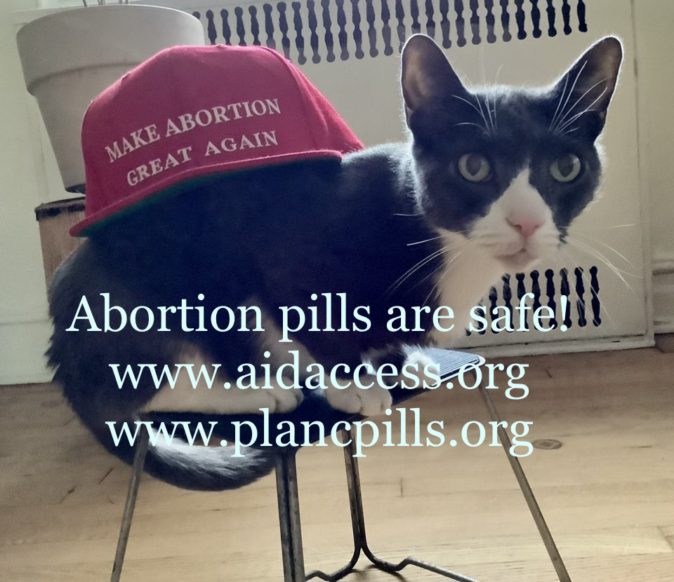 Abortion pills avail by telemedicine! #AbortionPillsForever #YrBodyYrChoice 
⁦@ShoutYrAbortion⁩ ⁦@AIsForOrg⁩ ⁦@AidAccessUSA⁩ ⁦@Plancpills⁩
#MakeAbortionGreatAgain #Cats4ReproFreedom #HandsOffMyUterus