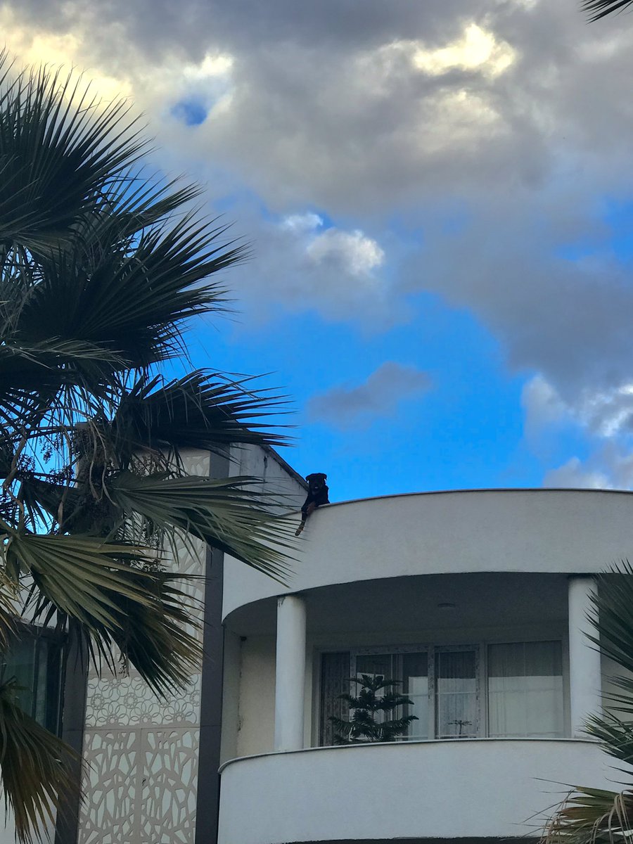 Hayatımda olup bitenleri aynen bu şekilde izliyorum