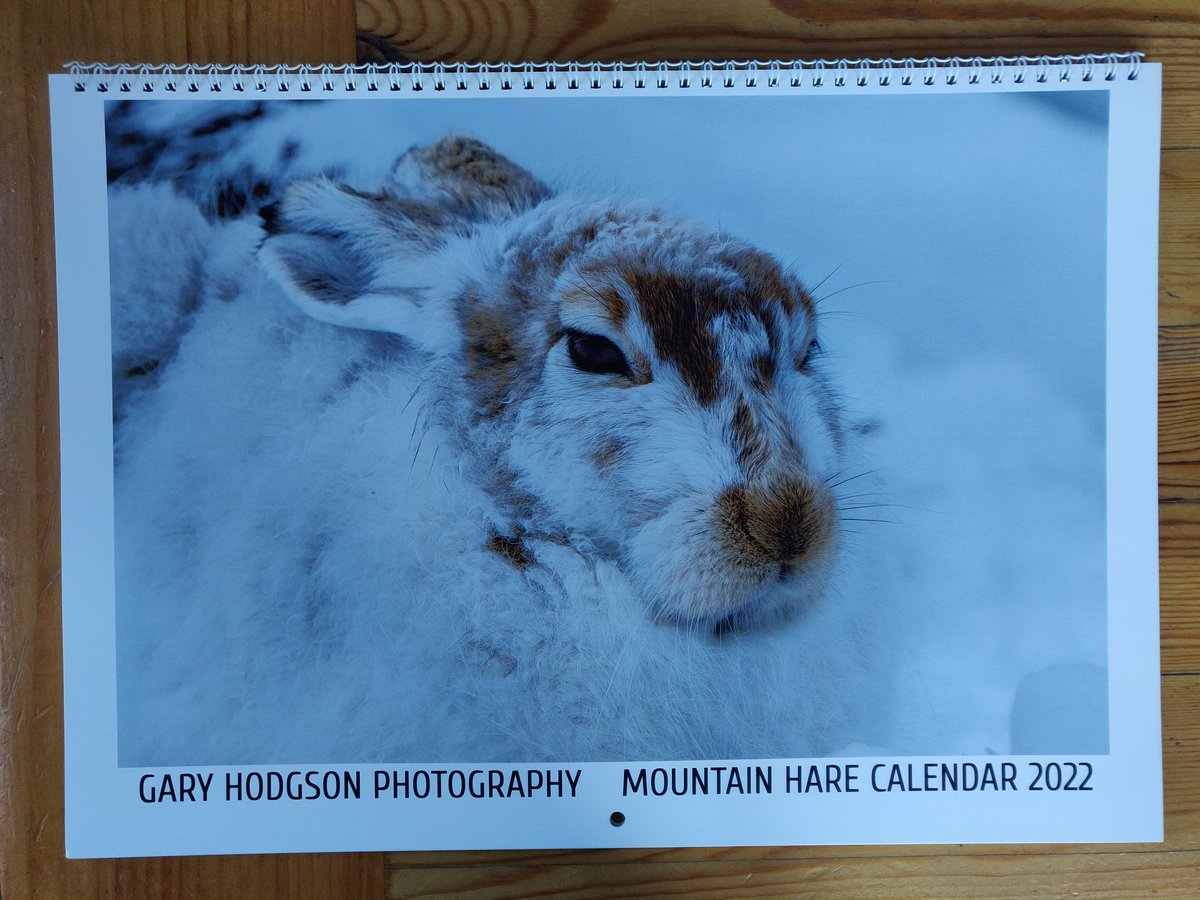 MerrynGlover's tweet photo. #Advent Idea 1: Forget #BlackFriday, embrace #BrightWednesday by choosing gifts from local, creative people. I love these #wildlife and #mountain calendars from @GaryTarmachan! @VisitCairngrms https://t.co/iczRcxyjsL
