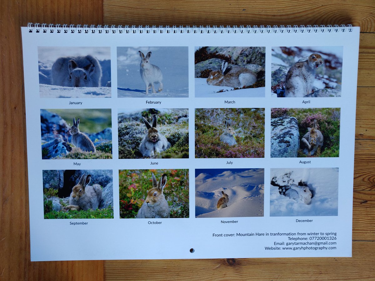 MerrynGlover's tweet photo. #Advent Idea 1: Forget #BlackFriday, embrace #BrightWednesday by choosing gifts from local, creative people. I love these #wildlife and #mountain calendars from @GaryTarmachan! @VisitCairngrms https://t.co/iczRcxyjsL