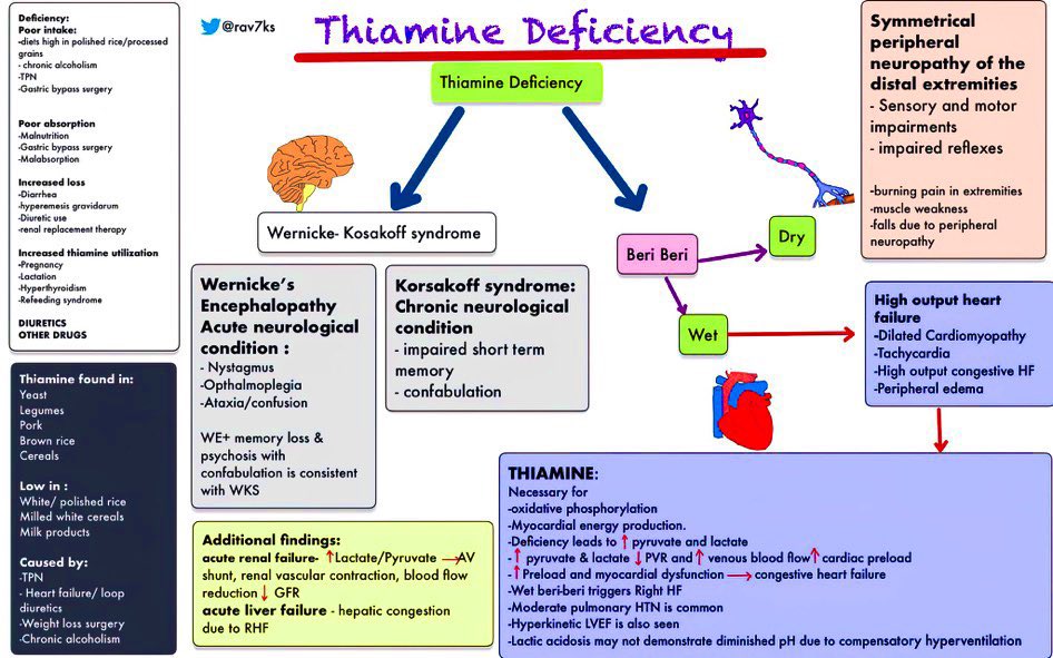 Understanding #thiaminedeficiency #malnutrition #CPDforDietitians