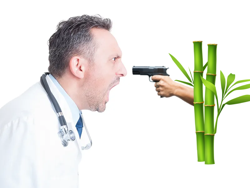Red_Panda_Squad's tweet photo. A bamboo a day keeps a doctor away 🎋 GM!
#wisdomwednesday https://t.co/vP4qYTkgSQ