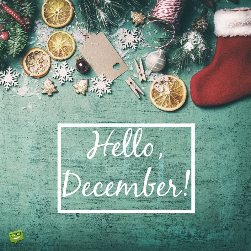 CCWellnessWorks's tweet image. ✨❄️Let's Make it a December to Remember!❄️✨

▫️

▫️

▫️

▫️

▫️

▫️

▫️

▫️

▫️

▫️

🌊#CapeCod ⚓#WellnessWorks 🌊
#OldCapeApothecary #MuscleCalm #December #HolidayVibes