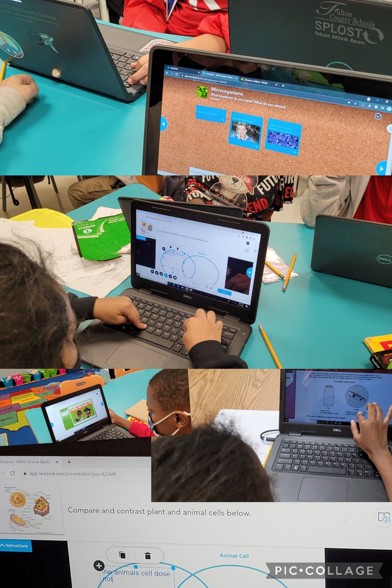 Lisa R. Canady tweet media