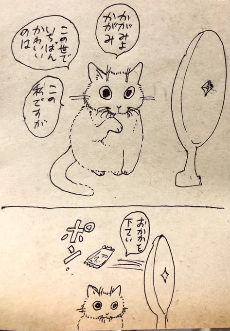 猫と鏡 