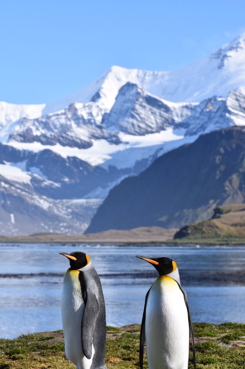 JWBuckingham's tweet photo. Happy Antarctica Day! Polar Times, @Polar_Research podcast, has a special ep out today (available from most places you get podcasts!) in which I had fun chatting to @Kat_hein and @TolipovAzamat all about it! Was fun to be on the other side of the mike for a change! #polartimes https://t.co/6ElJqzF5hV