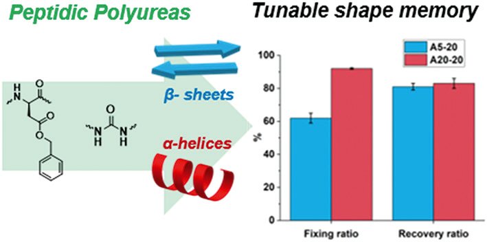 MSDE journal tweet media