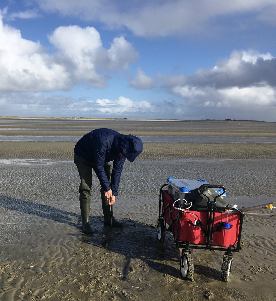 bio_geochem's tweet photo. Steps towards understanding the role of submarine groundwater discharge (#SGD) to the carbon cycle. Impressions from our October/21 fieldwork at #Königshafen bay at #Sylt. Projects #KiSNeT #COOLSTYLE @Ostseeforschung https://t.co/PtZ85tUwvv
