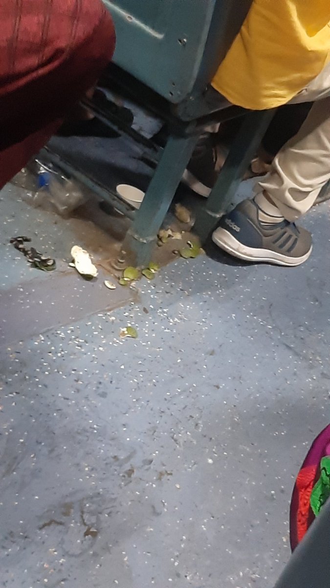 shah_paneri's tweet photo. Traveling from Nasik to Mumbai by Train no. 17618 NED-CSMT TAPOVAN EXP. It's such big disappointment to see litter all around and no cleanliness atall, because of what their are mosquitoes.
@indianrailway__ @RailMinIndia @RailwaySeva @IRCTCofficial https://t.co/CjrJMEfgM4