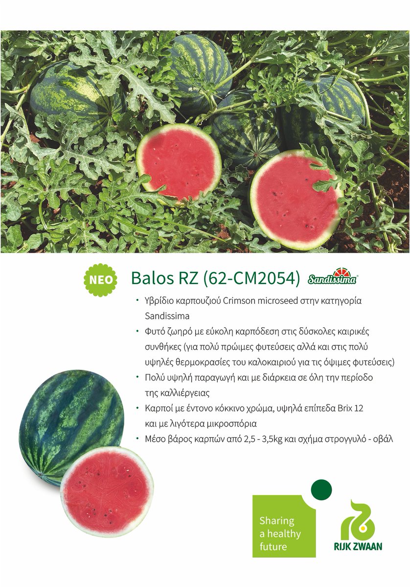 Rijk Zwaan Hellas (@rzhellas) on Twitter photo 