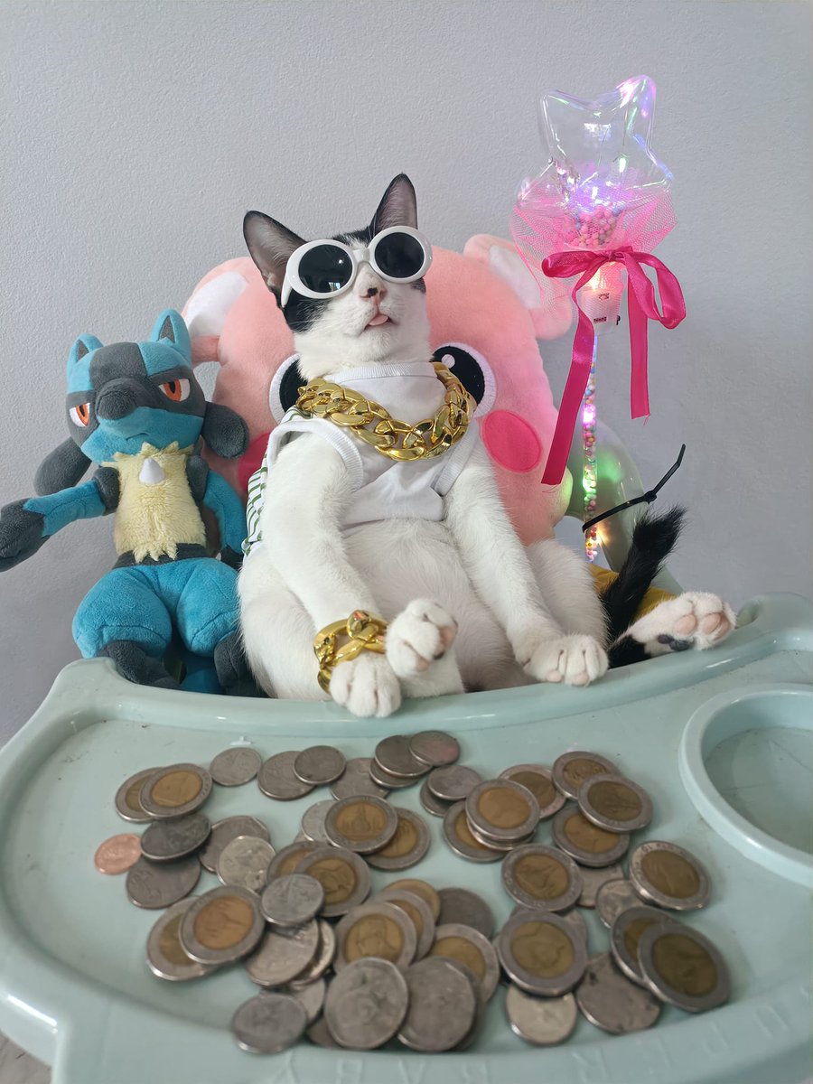 CatWorkers's tweet image. (📸 facebook.com/bongbongcatcat)