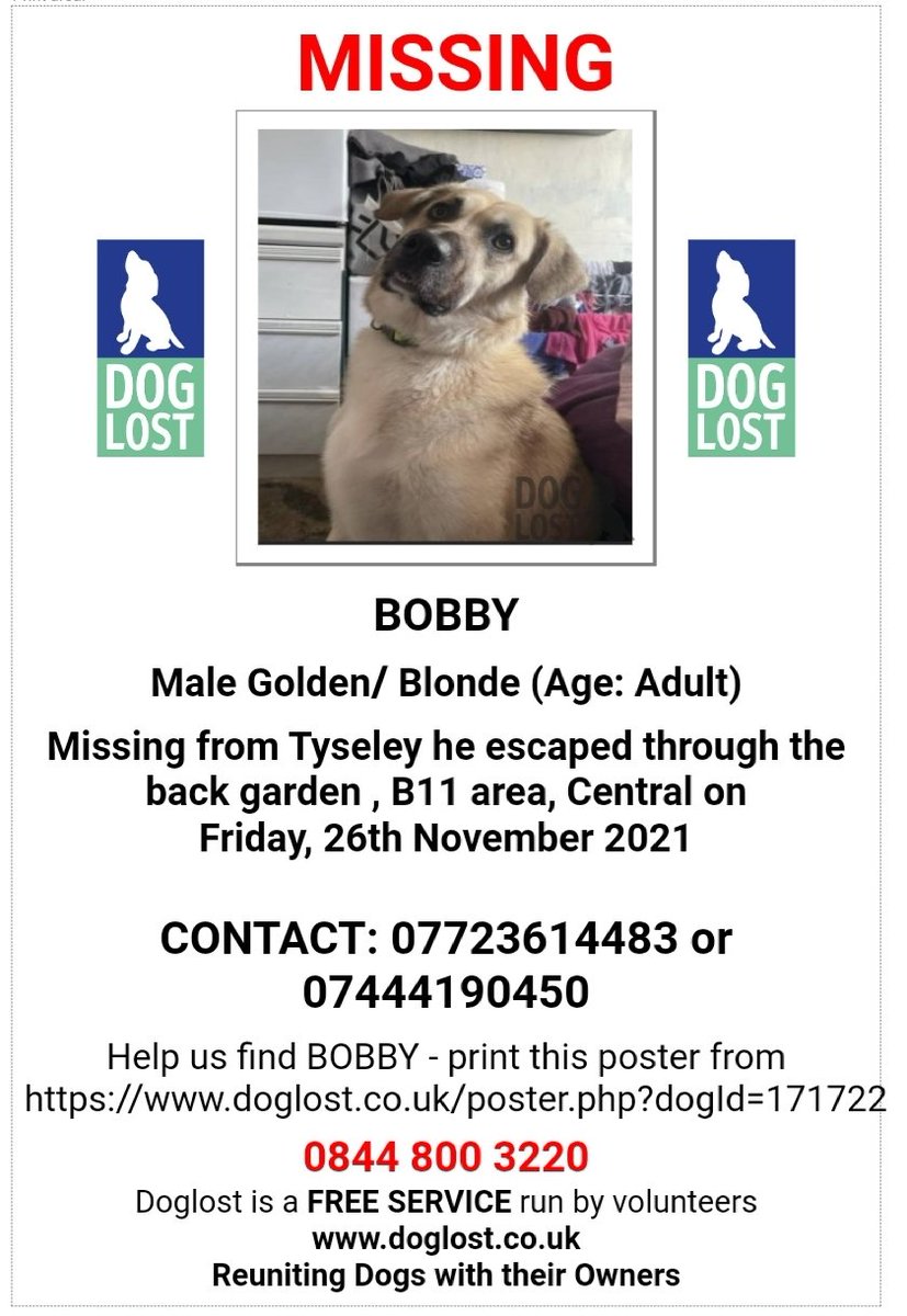 MissingPetsGB's tweet image. 🐕 NERVOUS #DOG BOBBY #MISSING from #Wetherfield  #Tysley #B11 on 26.November 21
Kangal X, 2 years old
He escaped through the back garden😔
MICROCHIPPED &amp;amp; Wearing a luminous green &amp;amp; black collar, but no ID doglost.co.uk/dog-blog.php?d…