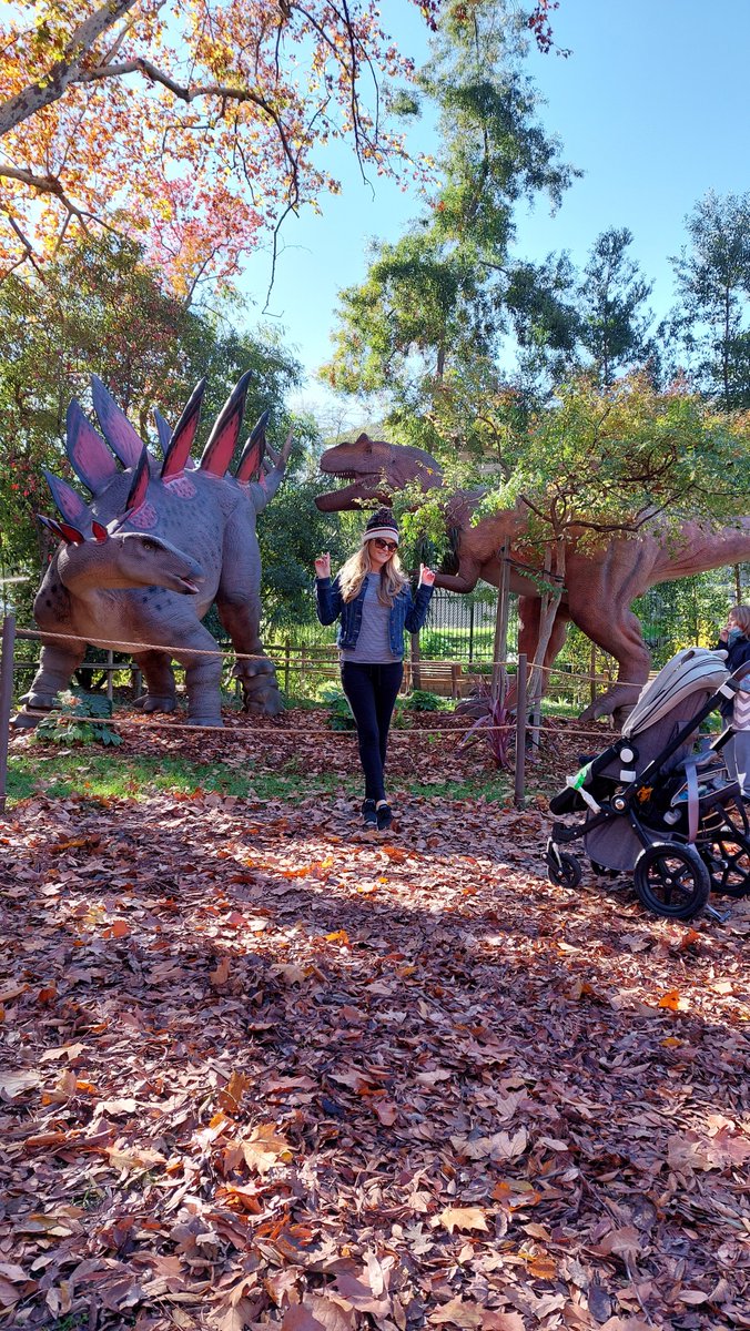 danes13's tweet photo. Have u visited @SacramentoZoo ? 
A #Fun #Educational &amp; #Exciting way to spend a day
Right now u can even go on a #Dinosaur hunt #SacramentoZoo offers a little bit of everything
#Flamingos #Lions #Giraffes #Zebras #Explore #Adventure #Discover #California #❤ https://t.co/5TpCUTMdFG