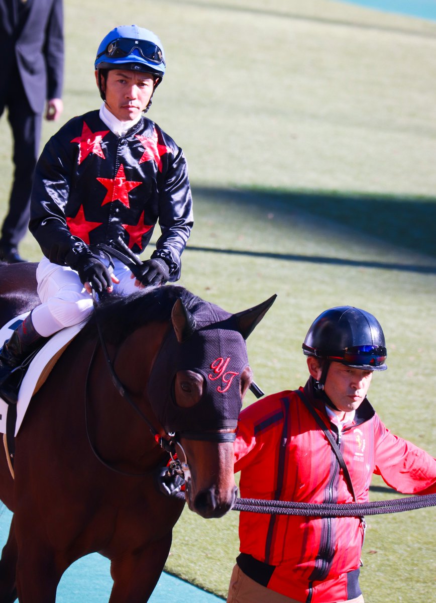 majesty_bio's tweet photo. 2021/11/28　東京7R・3歳以上1勝クラス
ブラックパンサー
(エピファネイア×アルピナブルー)

#ブラックパンサー 
#戸崎圭太
#田村康仁厩舎 https://t.co/xzLd1S06Up