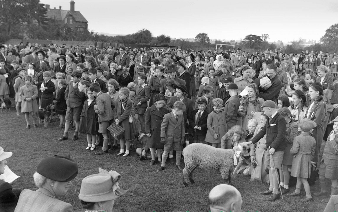 CatcherMedia's tweet photo. Let's have a bit of fun for the next few weeks. We'll show you a picture each day of #Advent from the Derek Evans archive. Feel free to share a pic of yours, or your favourite gif, in response...
1 Dec #AdventFun https://t.co/lV8NWvhJUz