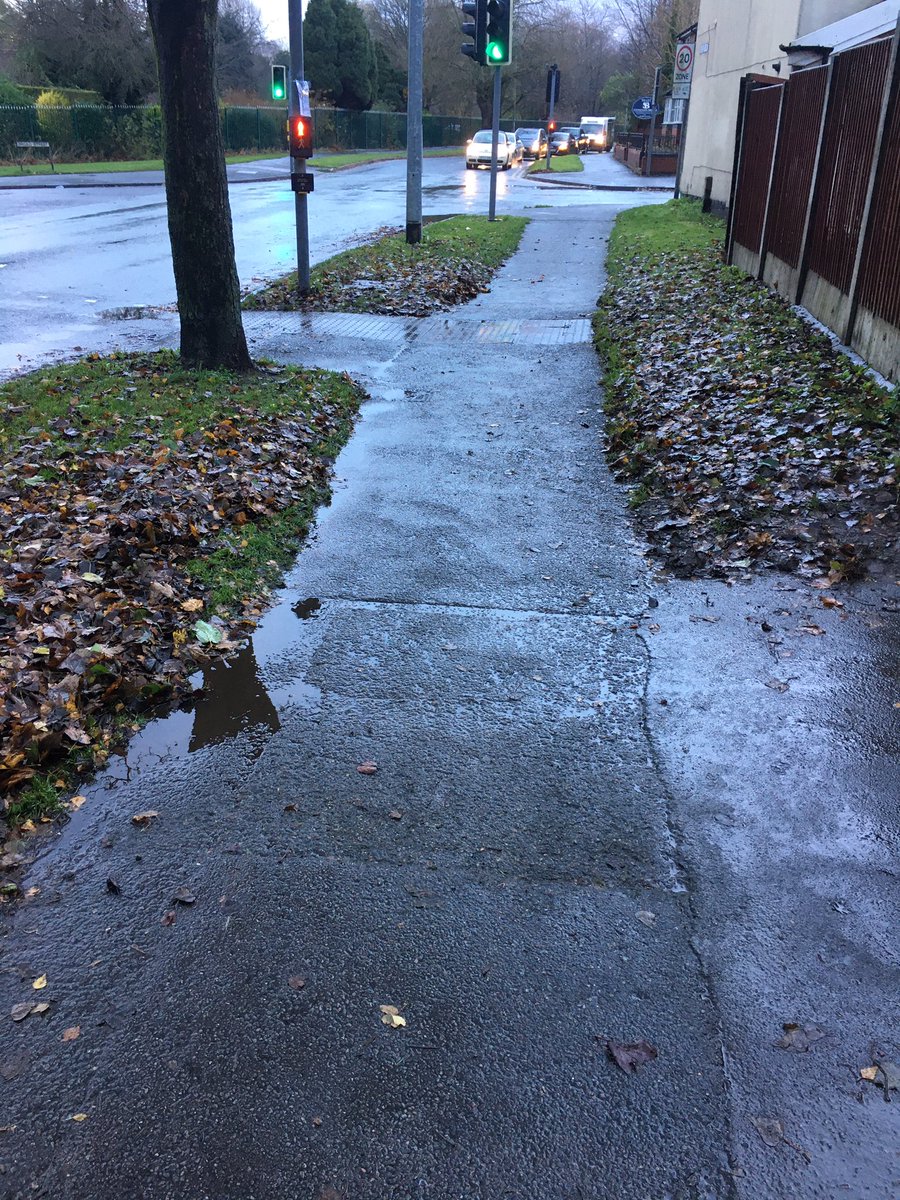 Crewe_Ranger's tweet photo. No chance of any #mishaps at the pedestrian crossing now that the leaves 🍁🍁 have been cleared from the pathway.@CreweTCouncil We Get Things Done Together 👍🏻 https://t.co/WxUP1WwU7v