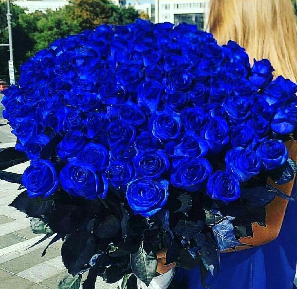 هدوئي ميزتي💫 tweet media