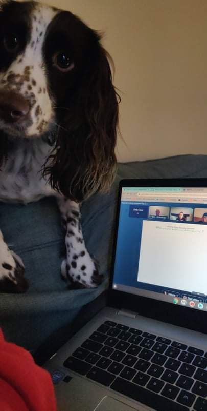 #Hellomynameis Emily tweet media