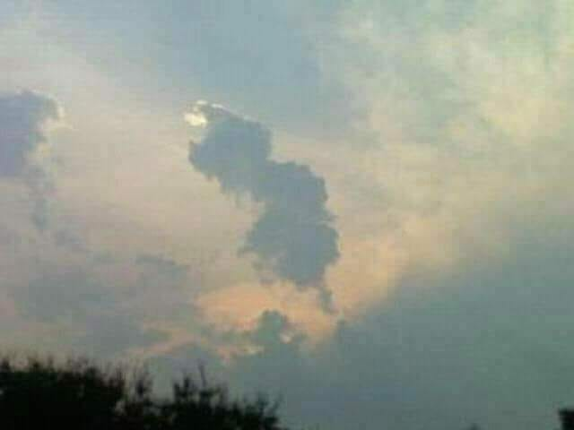 And on the 3rd day - he created New Jersey 
<a href="/NJGov/">New Jersey</a> <a href="/GovMurphy/">Governor Phil Murphy</a>