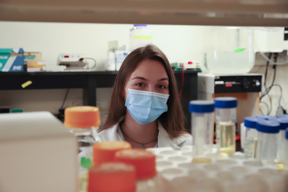 BMB_PSU's tweet photo. Check out this week's #UndergradsintheLab, Allison Rawson, a Senior from the Miyashiro Lab.
Using the Vibrio fischeri/Hawaiian bobtail 🦑 symbiosis, she's studying how characteristics of individual strains affect the diversity of the bacterial population. @PSUScience @PSU_urfm https://t.co/SpARzVuU1q