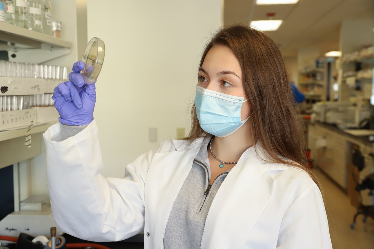 BMB_PSU's tweet photo. Check out this week's #UndergradsintheLab, Allison Rawson, a Senior from the Miyashiro Lab.
Using the Vibrio fischeri/Hawaiian bobtail 🦑 symbiosis, she's studying how characteristics of individual strains affect the diversity of the bacterial population. @PSUScience @PSU_urfm https://t.co/SpARzVuU1q
