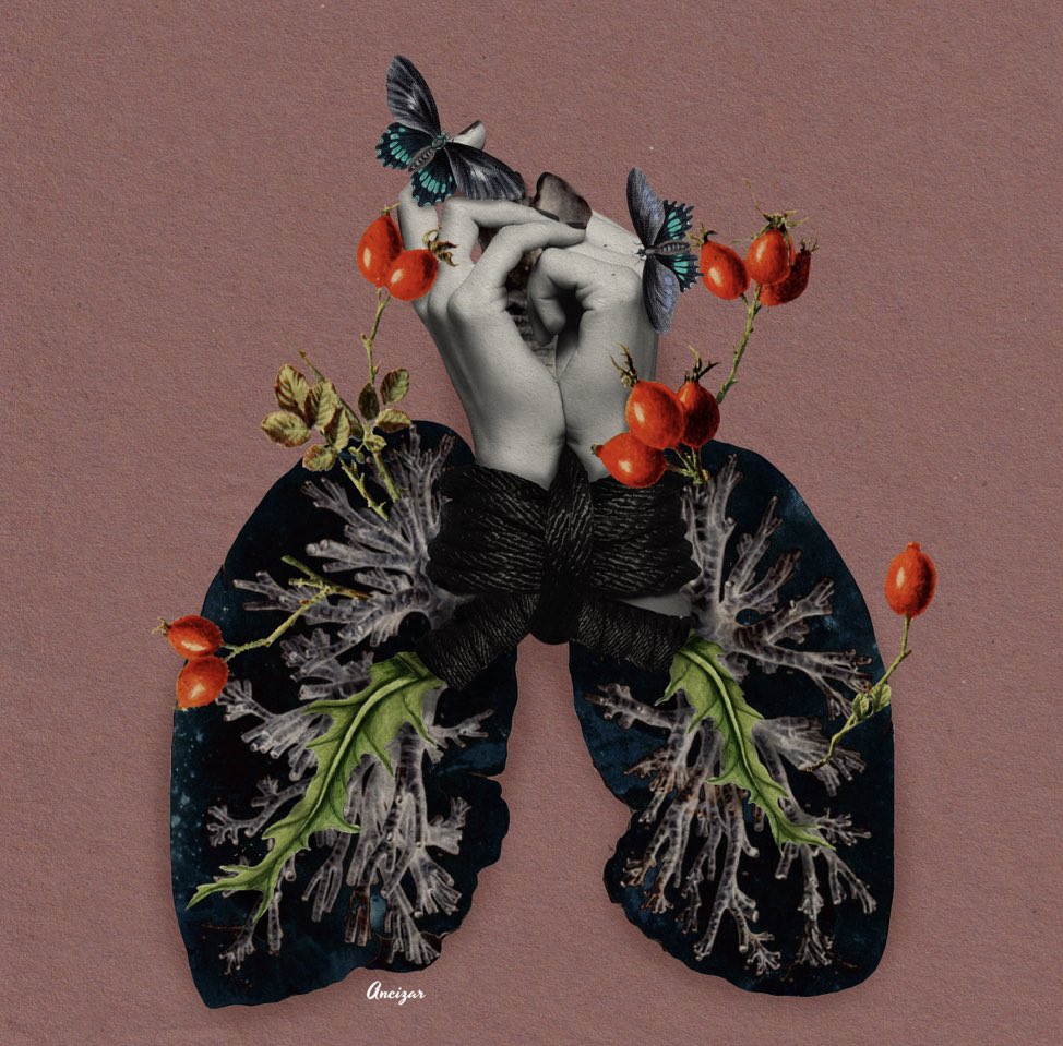 fabricadeartecu's tweet photo. This week is full of great news and a beautiful energy that we wish multiply to all of you #NFTCommunity 🤩

Congratulations @AncizarJen your art is amazing and you deserve the 🌕🚀 

Thanks so much to the anonymous #nftcollector this mean a lot to our #nftFAC #NFTartists 🙏 https://t.co/Fg36aNNNlr