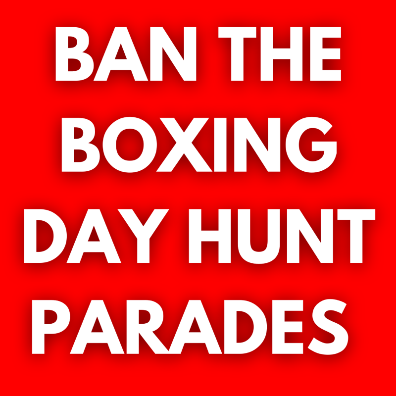Our message couldn't be any clearer. It is time for councils to ban the Boxing Day Hunt parades. 

RT and SIGN the petition if you agree: keeptheban.uk/petition-end-t…