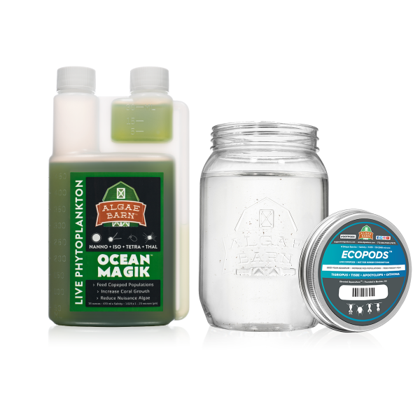 aquatic_r's tweet photo. ECOPACK POD & PHYTO COMBO from @AlgaeBarn
Bidding starts at 1/2 off retail and ships for free!
https://t.co/wAB0oKzunY
#jraar #rescuerehabrehome #reef #reefers #algaebarn #reeflife #allmymoneygoestocoral #coral #reeftank #eatsleepreef #reefpack #gotpods #instareef #reefing https://t.co/vLASO4dOsM