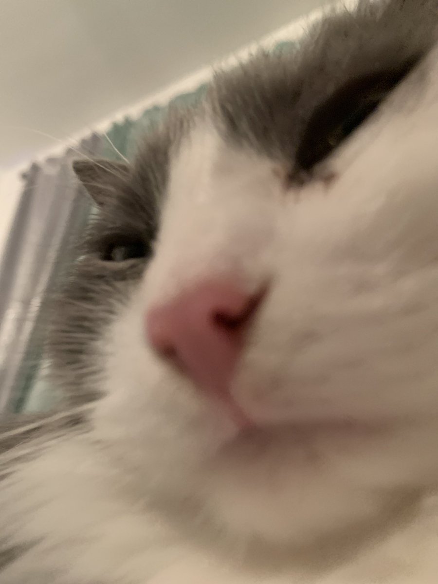 Phebe Fabacher 🍓 tweet media