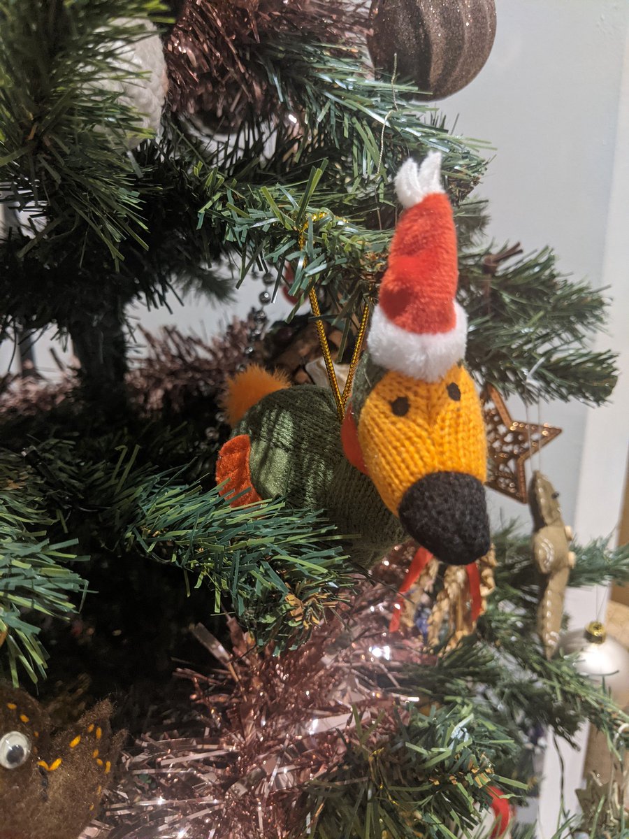 Helen_EAtkinson's tweet photo. And last but not last least... Daphne the festive dodo! 9/9 https://t.co/IHgRSPd5Z3