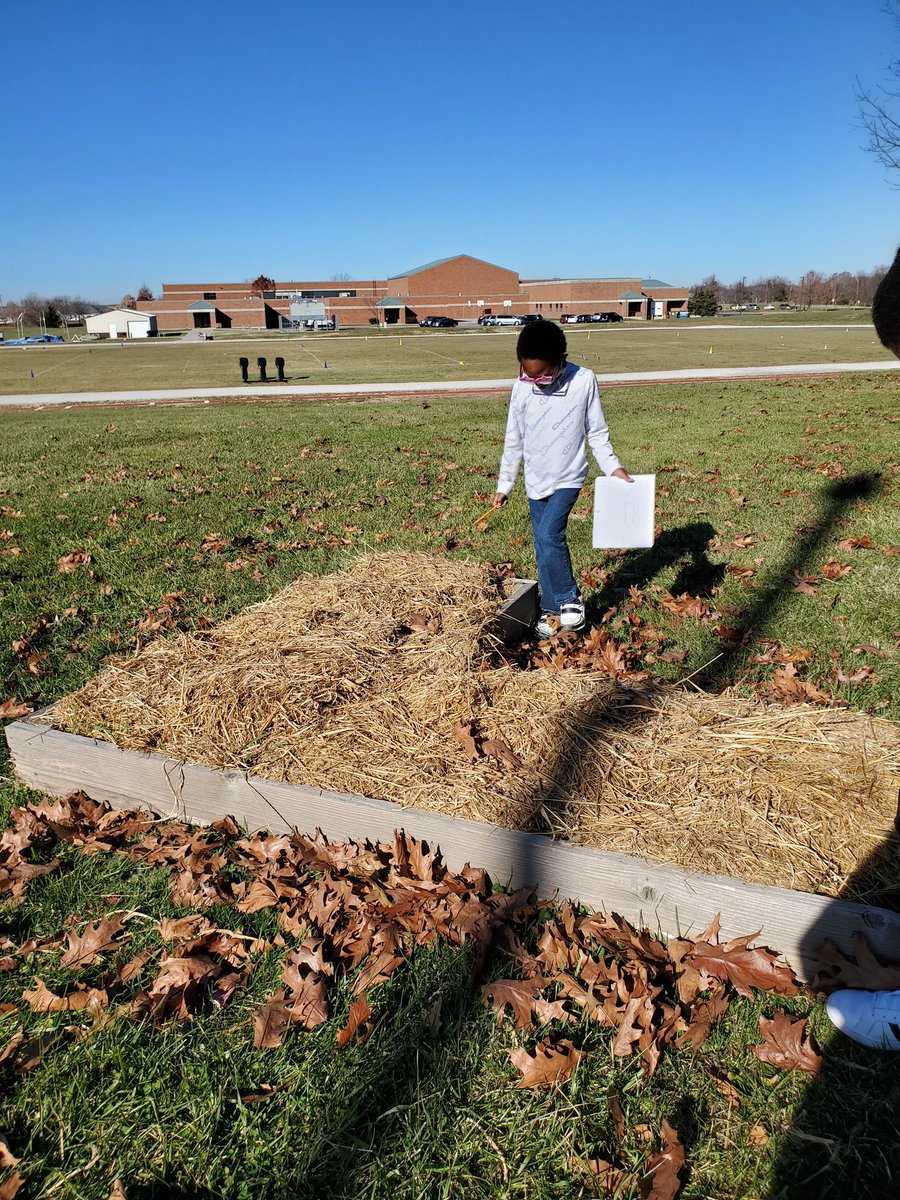KaraGerman1's tweet photo. Finding area and perimeter of the flower boxes on this sunny day! https://t.co/7CWVjtBn6g