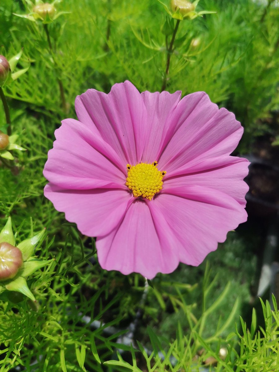 fuadpeters's tweet photo. November photo dump

1 Birth flower stodels
2 Tintswalo Atlantic
3 @RacknGrill
4 @ChapmansPeakSA

#IAMCAPETOWN #capetown #lovecapetown #capetownsouthafrica #southafrica #meetsouthafrica #shotleft #discoverctwc #tavelmassivect #TravelMassive #TravelChatSA #capetowncaptured https://t.co/usIlw53HRv