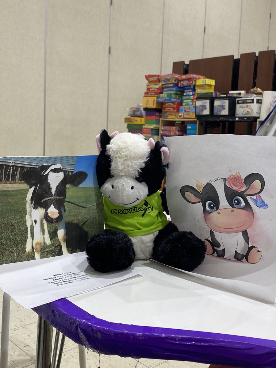 It’s a GIRL!  My Bridgeview ELL students were excited to find out about our adopted cow! Liberty was born Sept 24, 2021 weighing 90lbs! They can’t wait to find out more about her and learn about dairy farms and the process of milk from farm to table!  #d109pride #discover_dairy