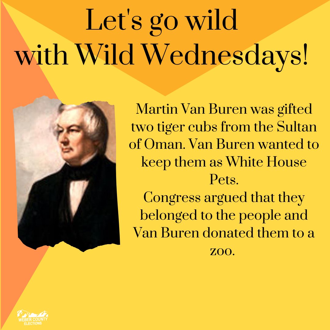 WeberElections's tweet photo. It’s Wednesday, let’s get wild with these weird facts. President Martin Van Buren was gifted two tiger clubs from the Sultan of Oman, he wanted to keep them as first pets, but Congress suggested otherwise. #firstpets #weirdhistory #wildwednesday #weberelections #history #tigers https://t.co/Ap3uIyrjcv
