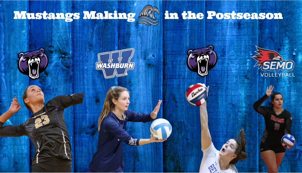 🏐Coach Peterson🏐 tweet media