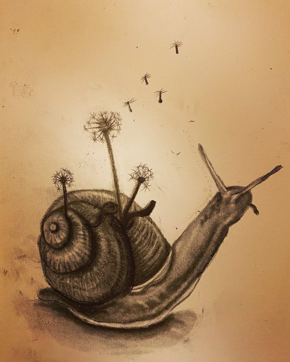 FreshApproachCo's tweet photo. Super happy with how this little guy turned out #charcoal #sketchbook https://t.co/emDNzvnq4R