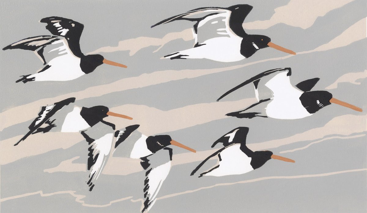 grapevine_art's tweet photo. Oystercatcher’s Awayday, limited edition Linocut from ⁦@maxangusmaker⁩ arriving in the gallery very shortly and not likely to hang around! Be quick! https://t.co/6aM6HtwY1g