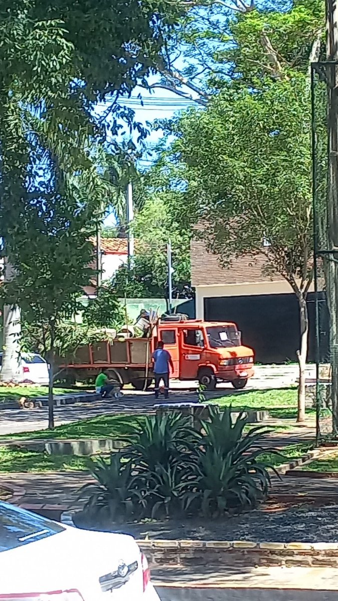 taniakennedyb's tweet photo. Les odio con todo mi ser 😭😭😭😭 @ANDEOficial cortaron los árboles del patio de mi mamá que eran “casa” de los papagayos y de una lechuza!LES ODIO!!! Busquen cómo colocar los cables horrendos! Además de matar la belleza de esas palmeras mataron la casa de los pájaros 😭💔 https://t.co/xvDzDlbklN