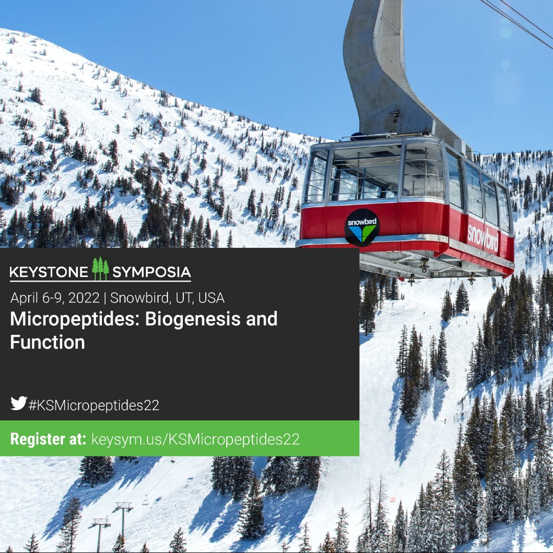 KeystoneSymp's tweet photo. Scholarship applications due in 2 weeks for April @KeystoneSymp #Micropeptide Biogenesis &amp; Function and joint meeting on #GPCR #GProtein Structure, Signaling &amp; beyond.

Early Career &amp; #URScientists are eligible for financial aid!

https://t.co/9LhvlX6gBk
https://t.co/AkbjSwVKaE https://t.co/nMY0ilfwjF